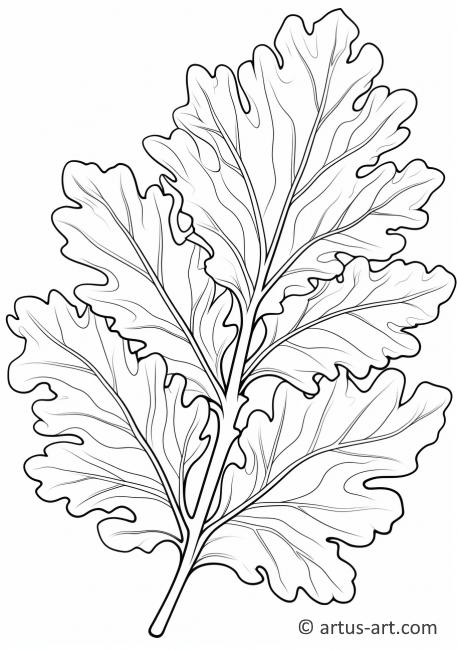 Vzor listu fíkového stromu k vybarvení